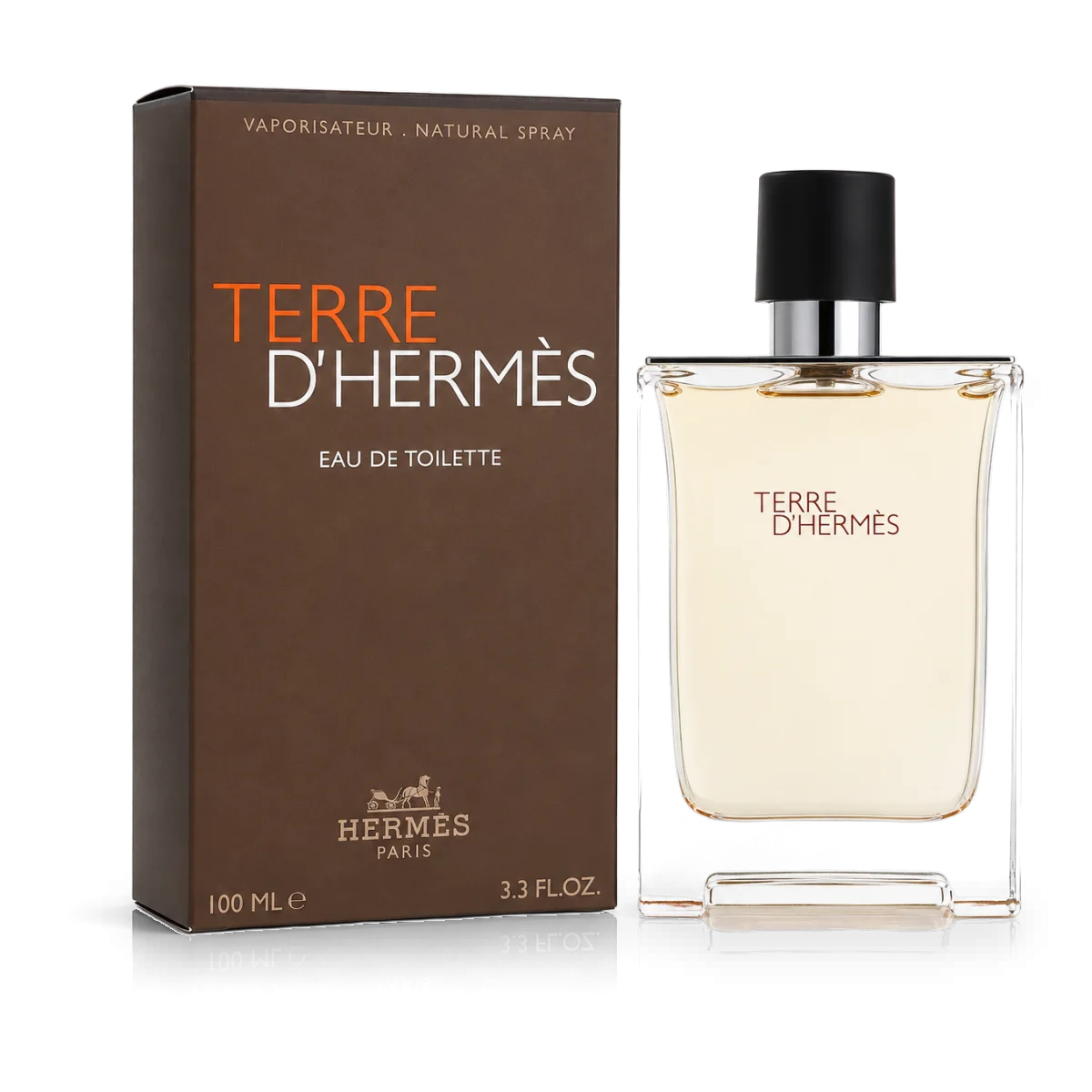 Hermès Terre d'Hermès Eau de Toilette