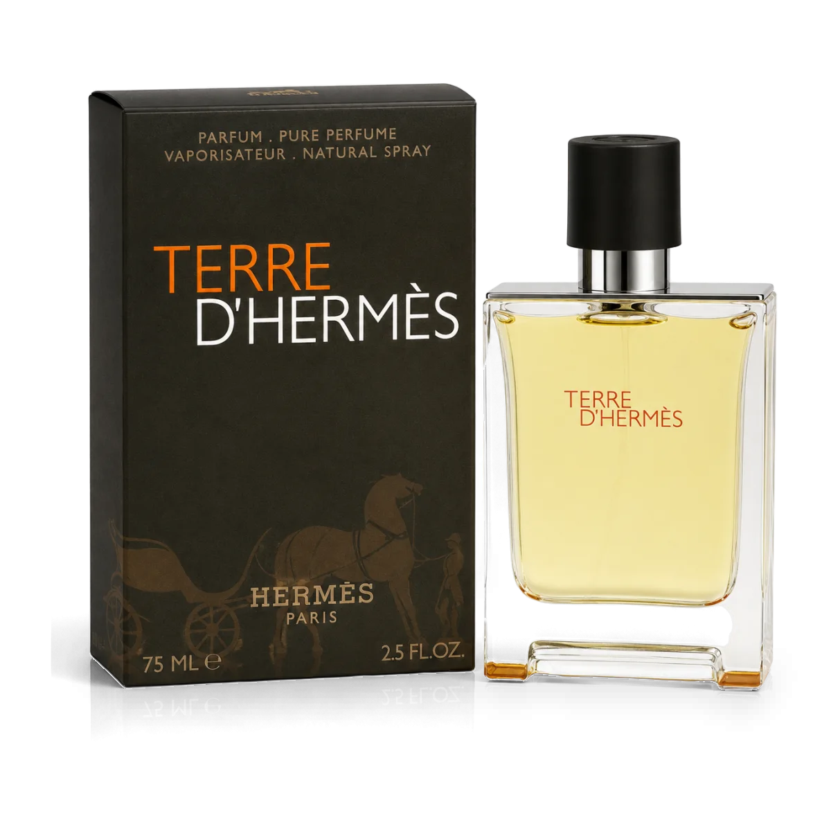 Hermès Terre d'Hermes Pure Perfume Parfum